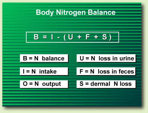 Low Protein Diet Nitrogen Balance In The Body